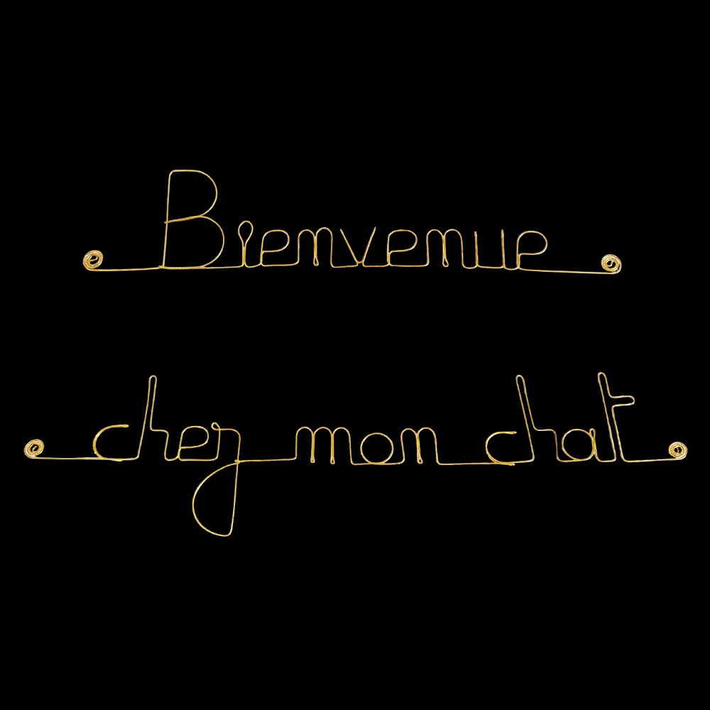 "Welcome to my cat's home" simple wire message - to pin - Wall jewelry