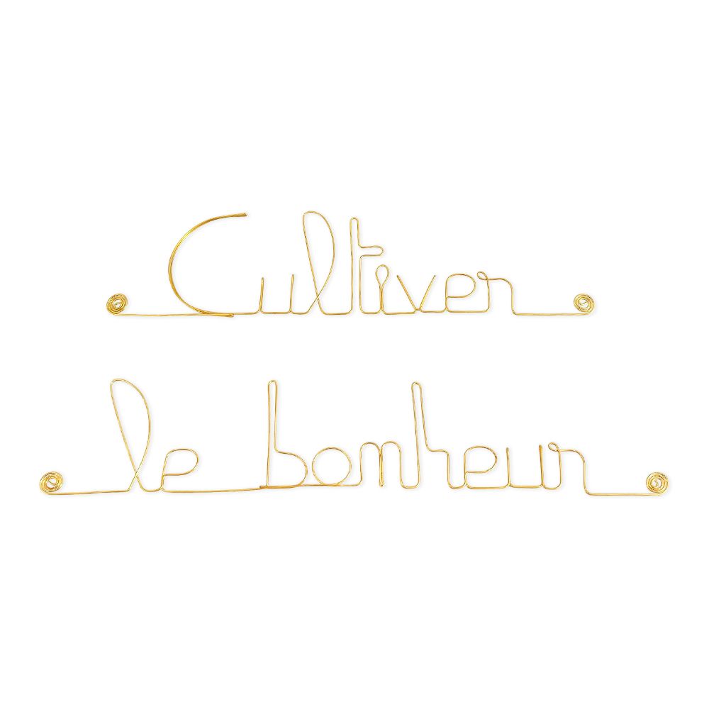 Simple wire message "Cultivate happiness" - pin-up - Wall jewelry