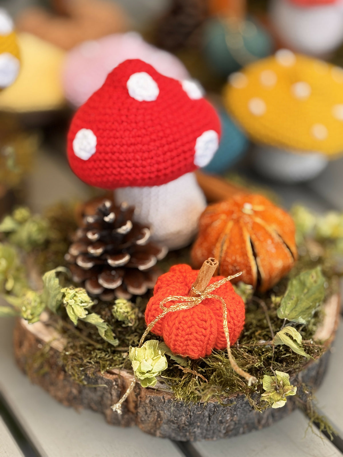 Mini forêt
