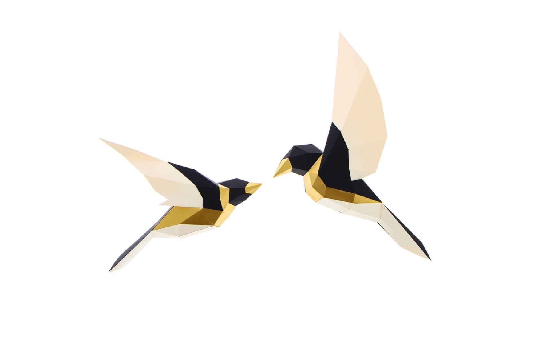 Product Image-2