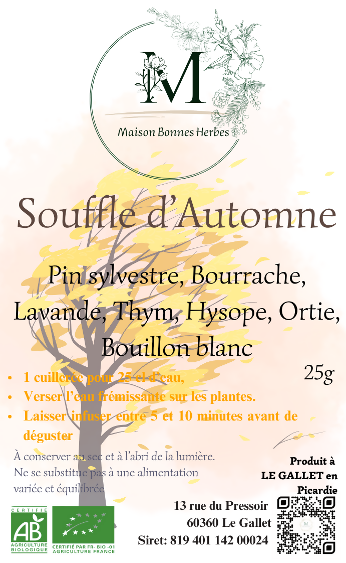 TISANE SOUFFLE AUTOMNE