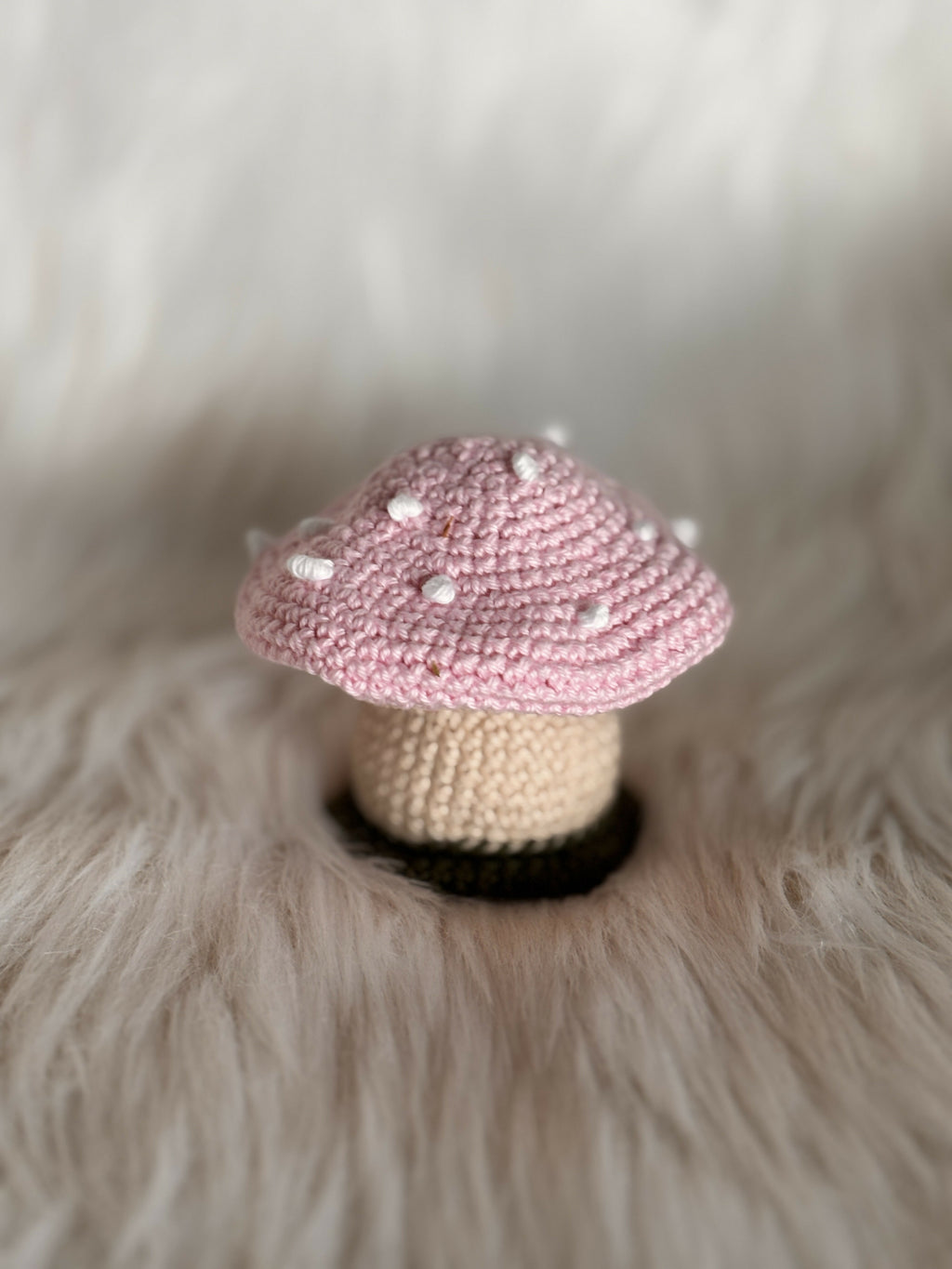 Champignon