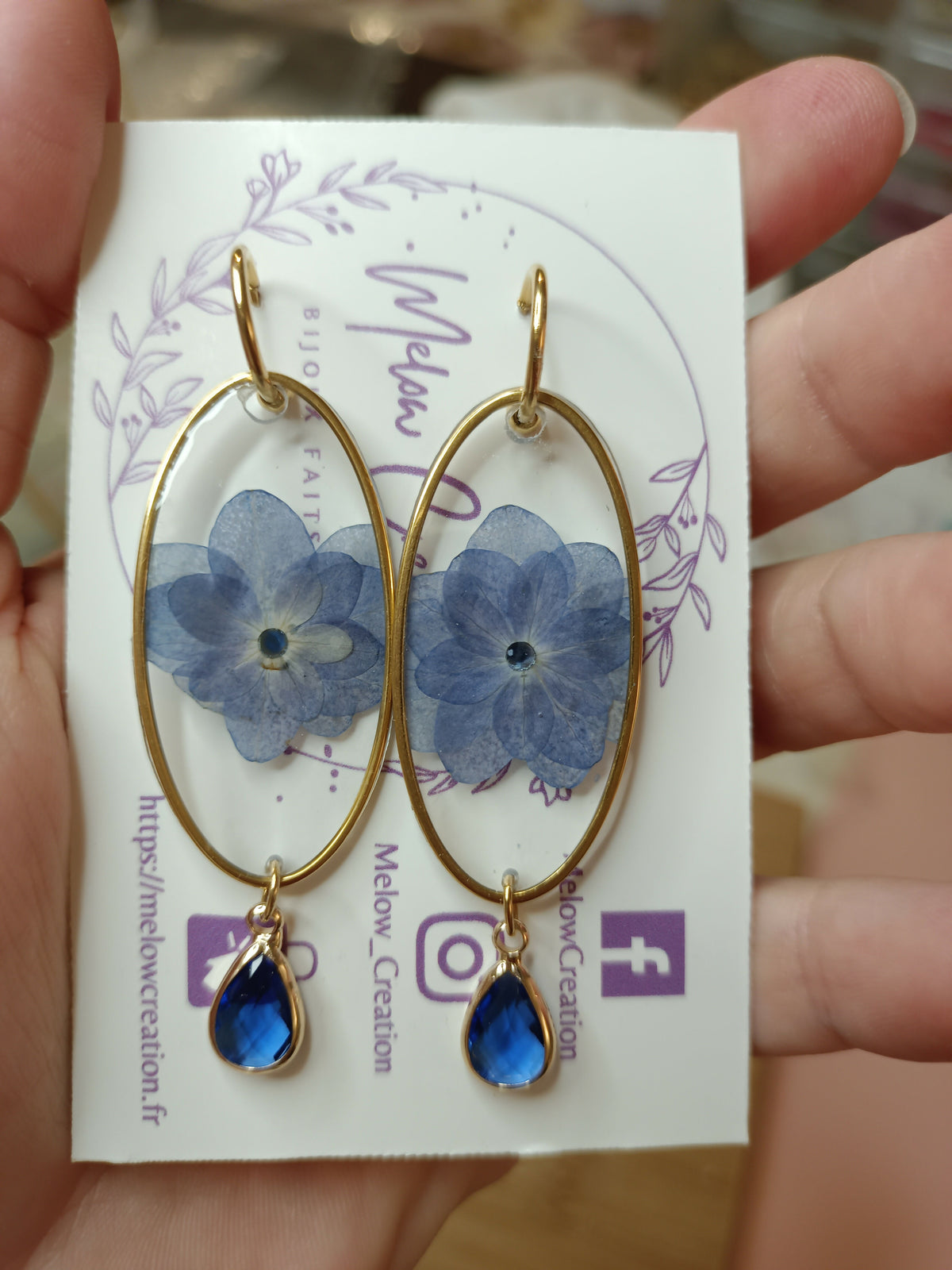 MEL/GFS Grandes Fleurs Séchées