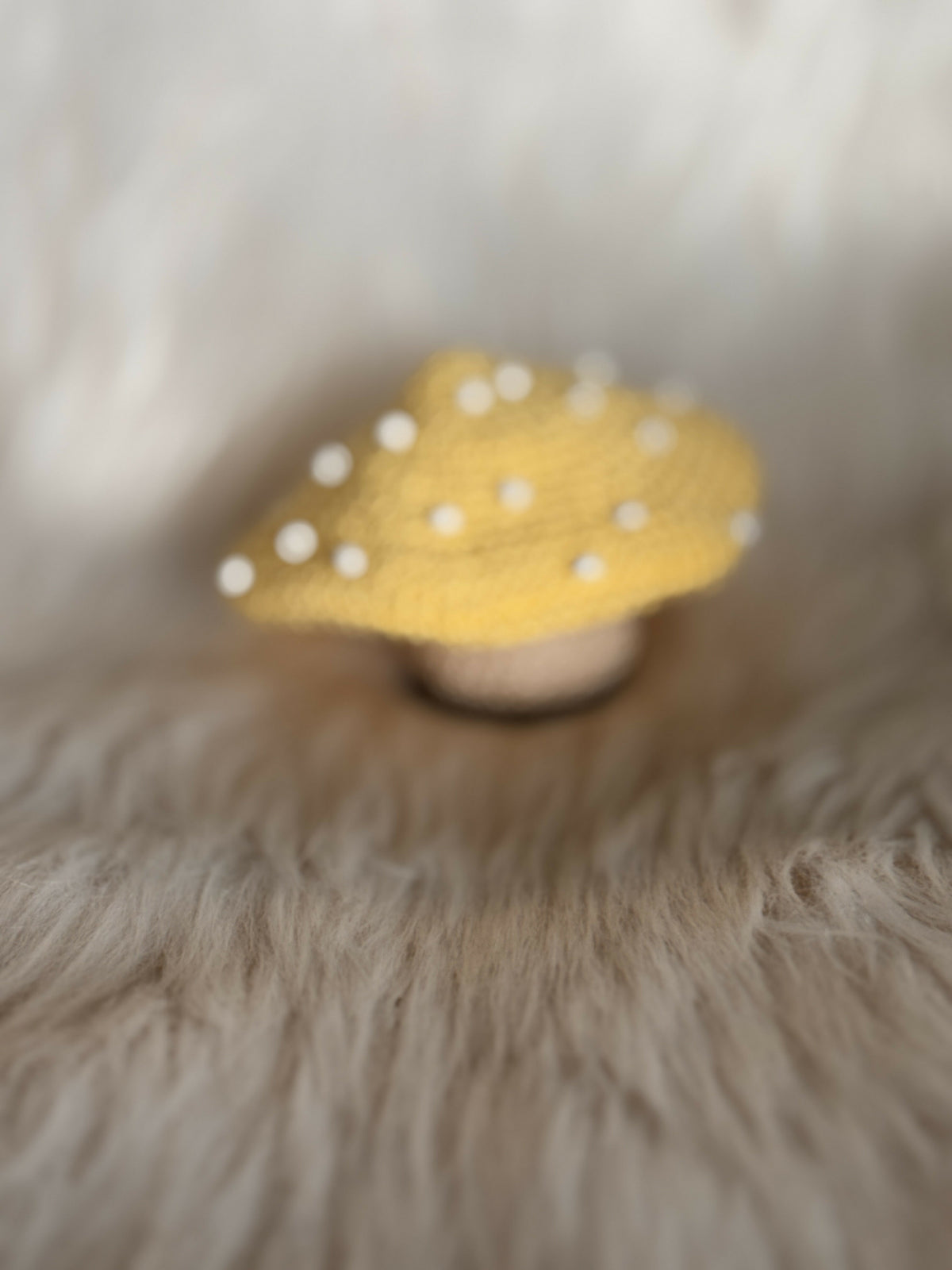 Champignon