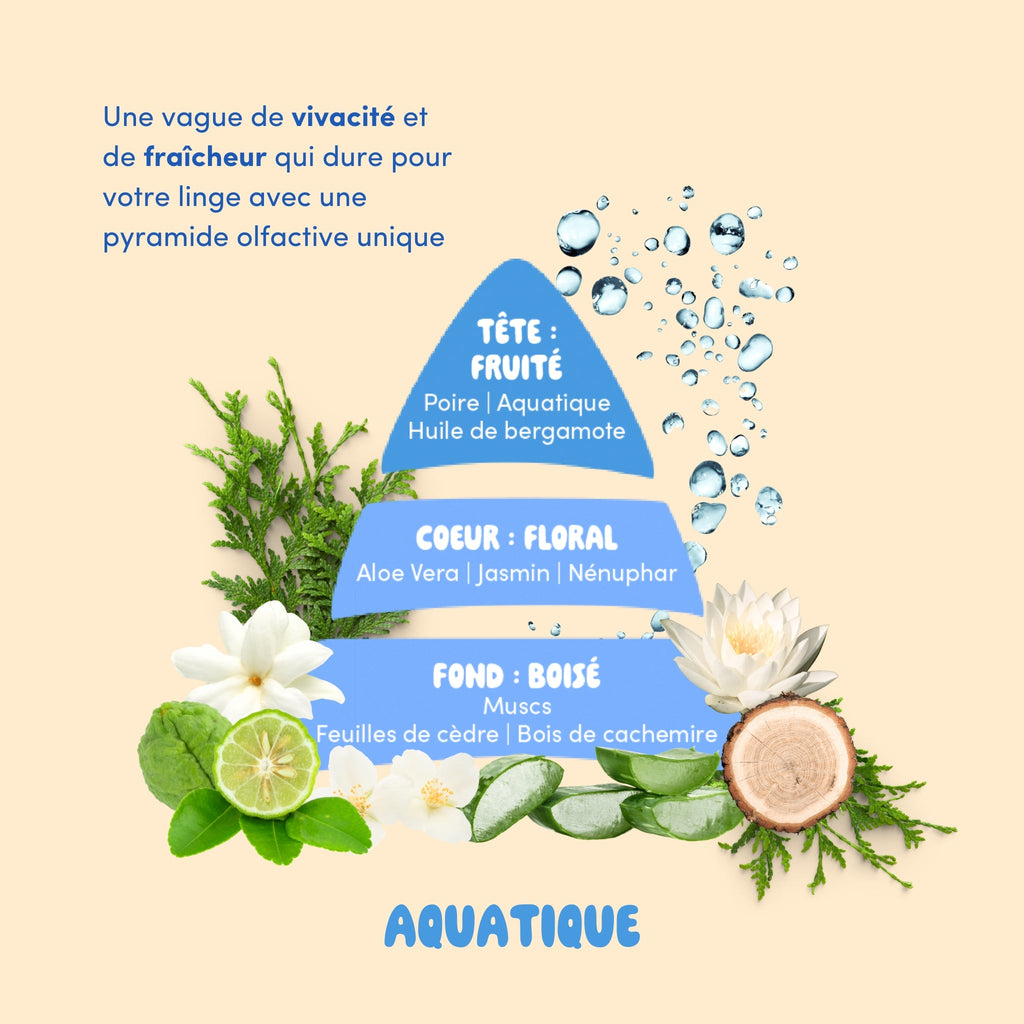 Parfum de lessive : Aquatique