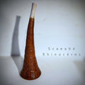 Rhinoceros Beetle Vase