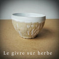 Le givre sur l'herbe