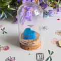 Potion magique Serdaigle