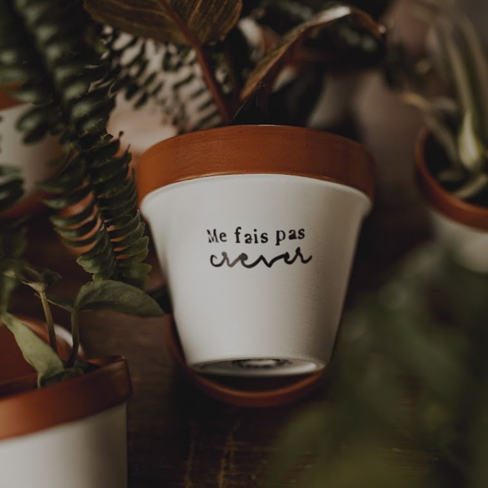 pot de fleur humoristique pot de fleur original cadeau rigolo joli pot fait main pot artisanal français pot terracotta cadeau collègue cadeau plante pot déco intérieur plante succulente pot avec message drôle cadeau humour fleuriste concept store cadeau original artisanal pot de fleur personnalisé made in France cadeau écolo décoration maison pot de départ cadeau rigolo plante verte