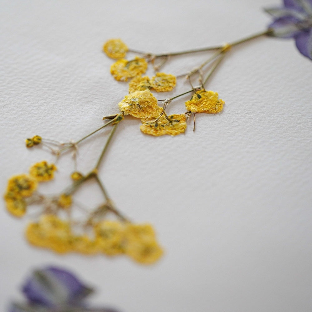 herbier-fleuri
