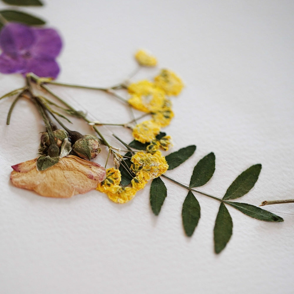 herbier-fleuri