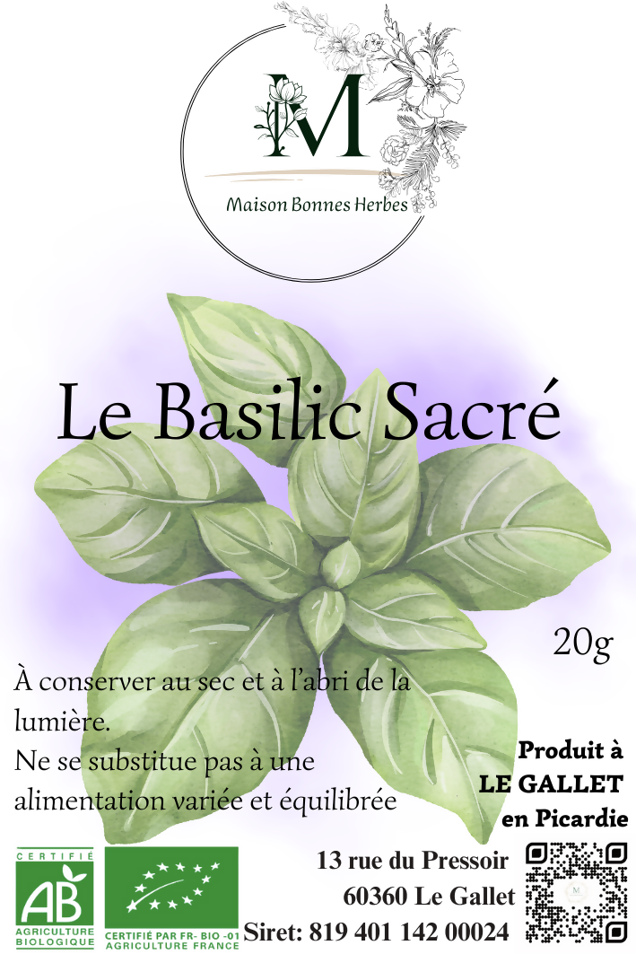 BASILIC SACRE