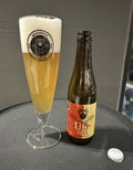U5 pils 33cl