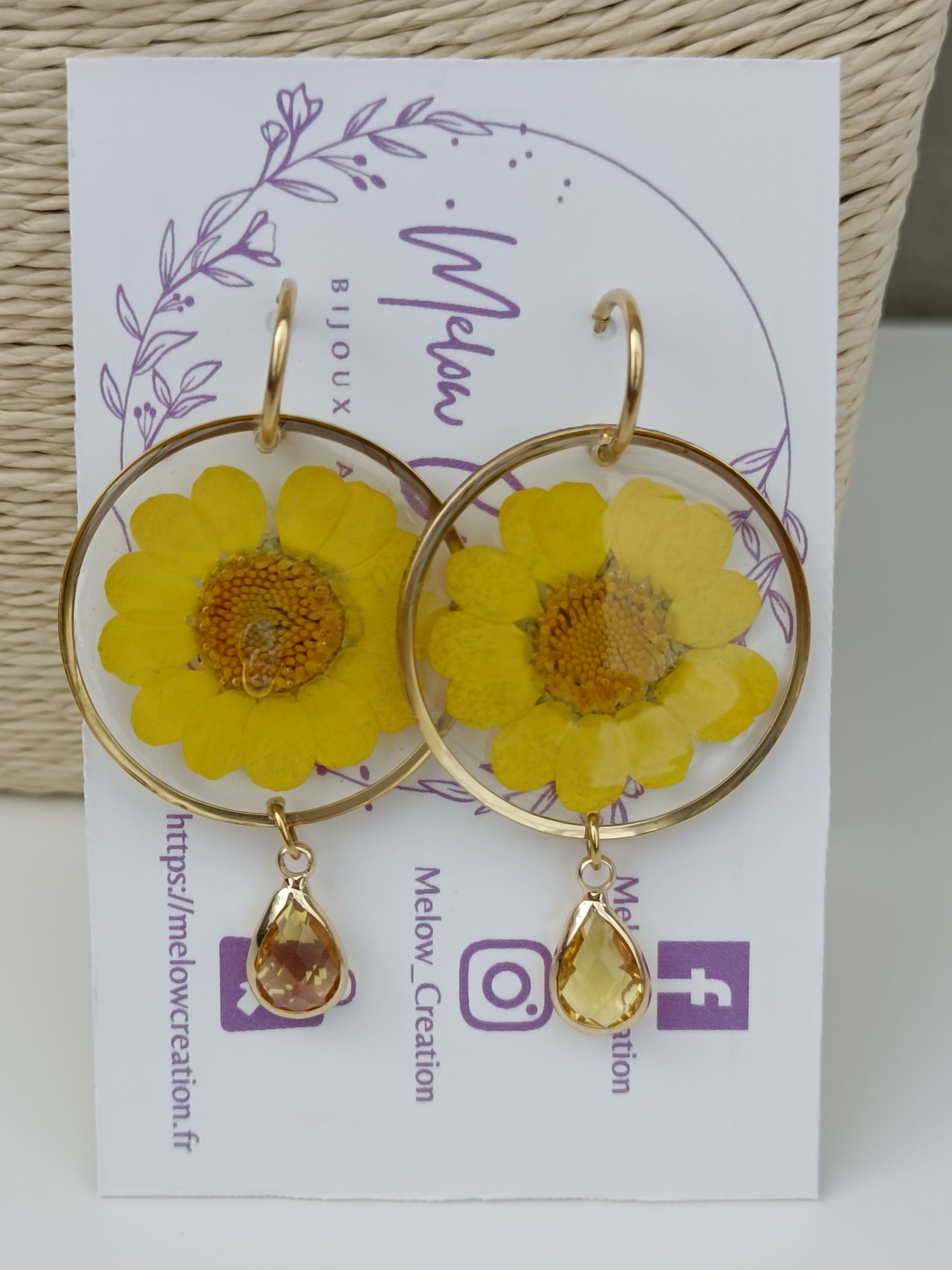 MEL/GFS Grandes Fleurs Séchées