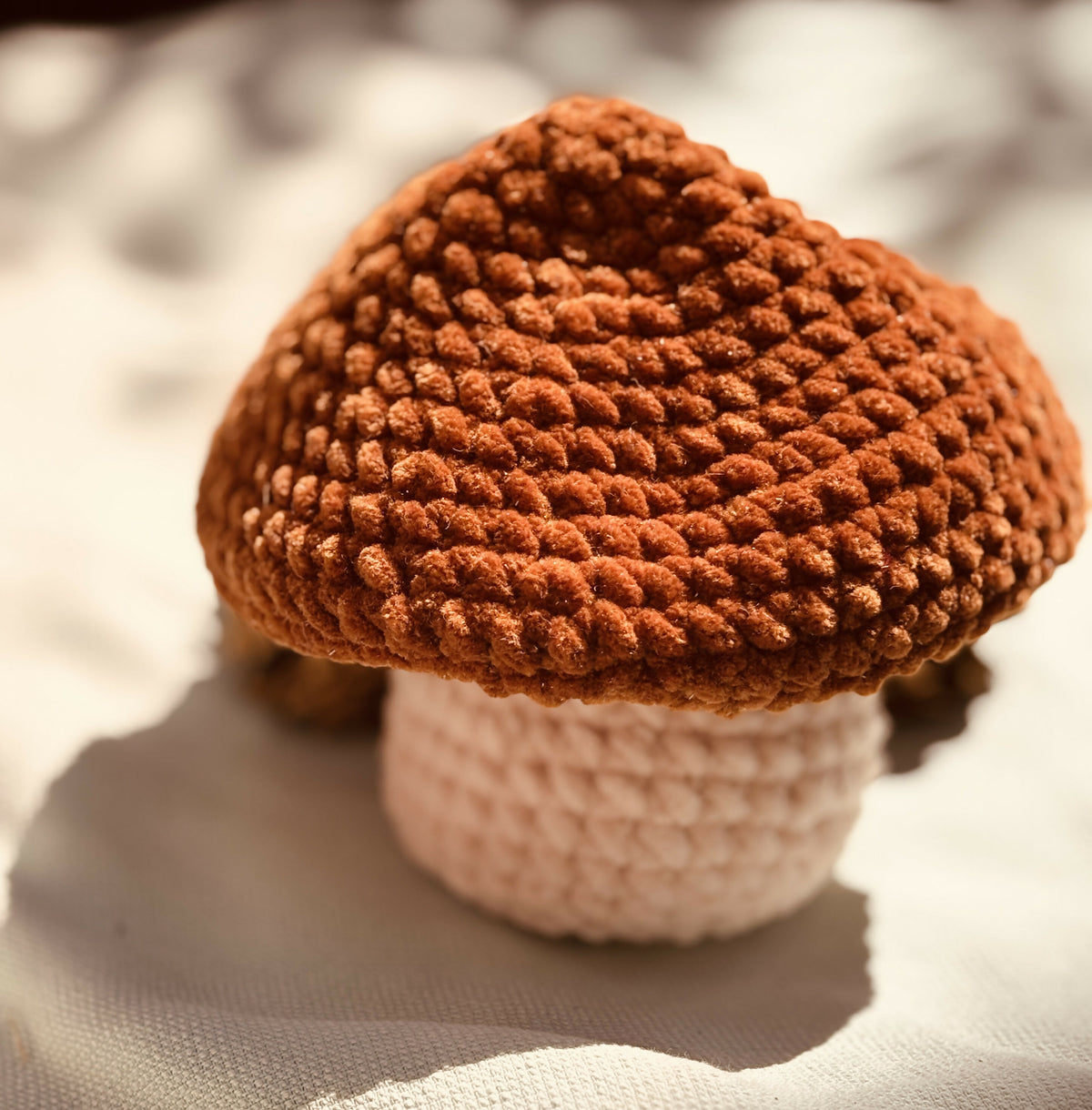 Champignon