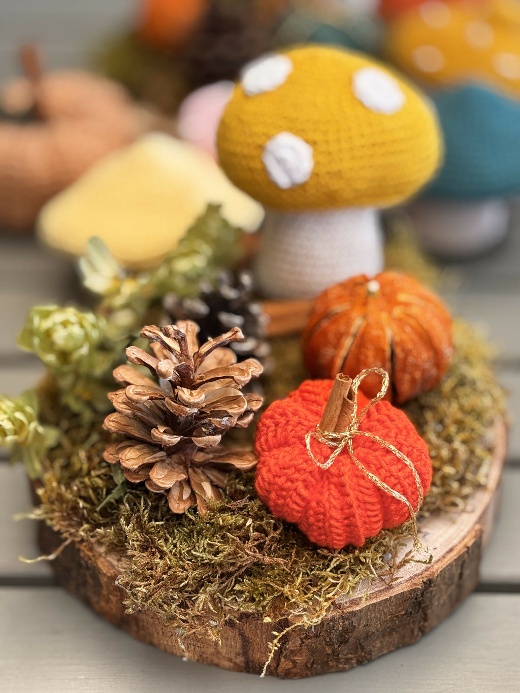 Mini forêt